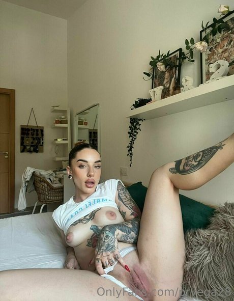 prvega28 top star archive