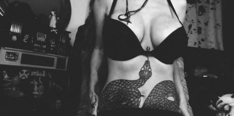 SilentMary model pretty picture