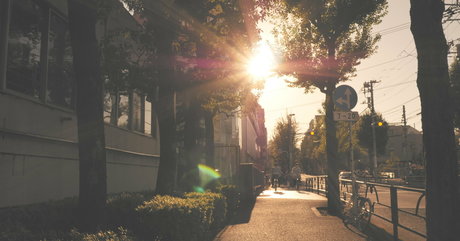 shiina sora712 hot pornstar images