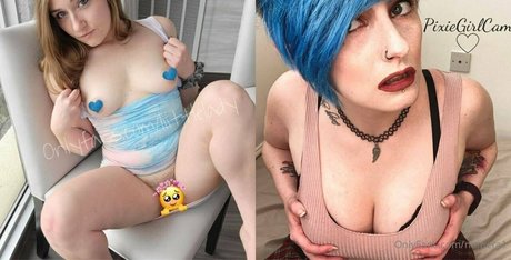 numera1 star free archive