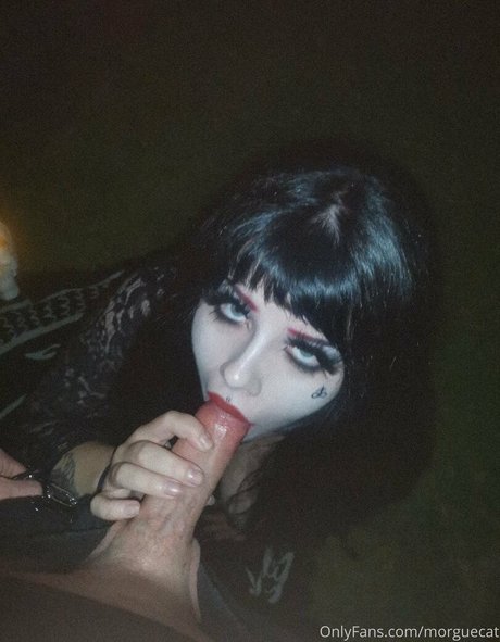 morguecat pretty model photo