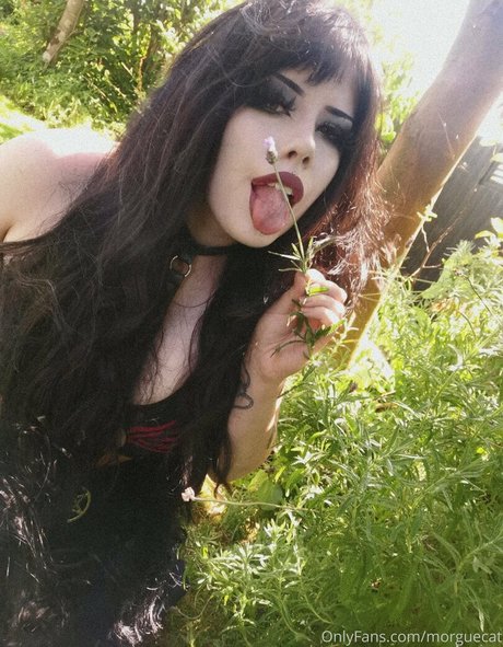 morguecat top actress images