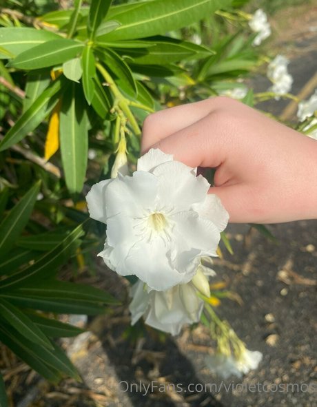 violetcosmos pornstar sexy galleries