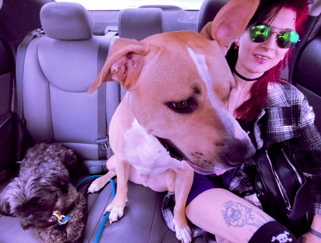 dariadoom pornstar high quality img