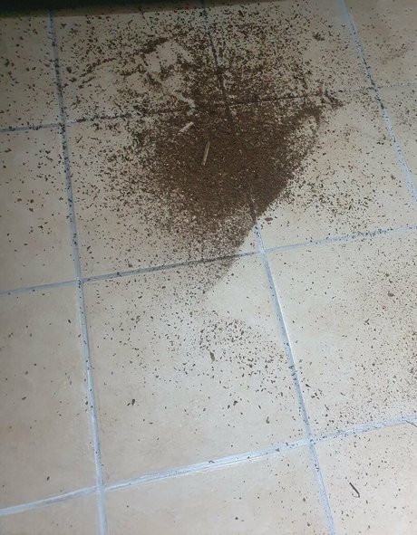 Somethingnotsilly perfect actress archive