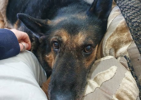 curvy muscle onlyfans sexy img