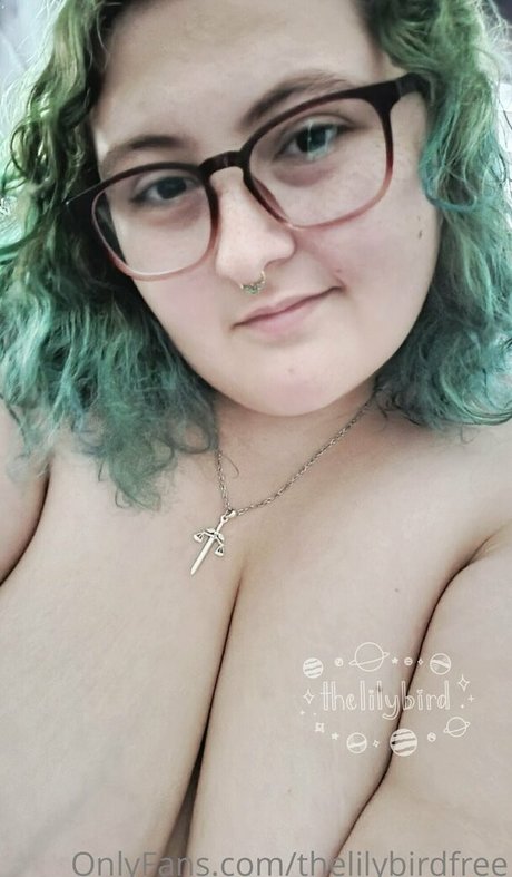 thelilybirdfree adult star archive