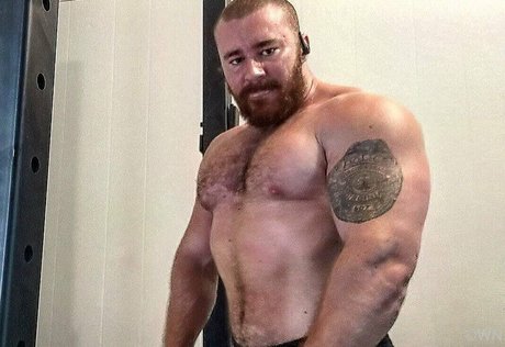 beefbeast porn actress pictures