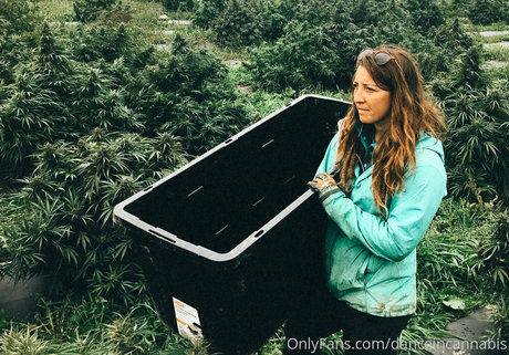 danceincannabis hd actress photos