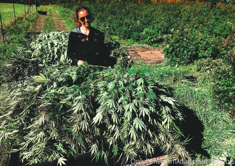 danceincannabis top actress pictures