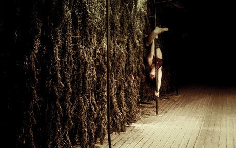 danceincannabis naked actress archive