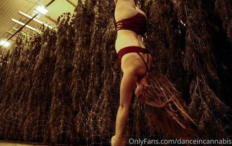 danceincannabis model sex photos