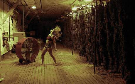 danceincannabis pornstar beautiful pic