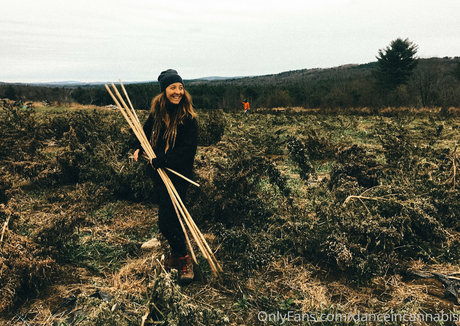 danceincannabis sex actress photo