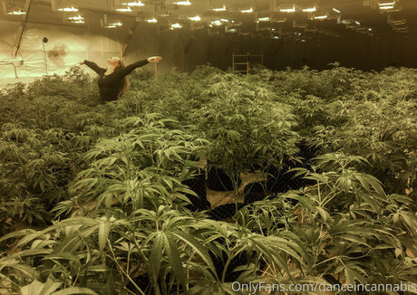 bbc rimming onlyfans beautiful pictures