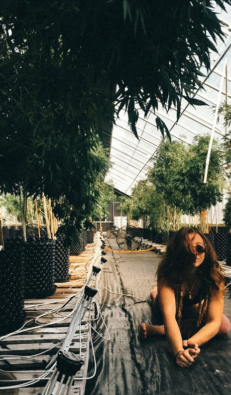 danceincannabis nude star image