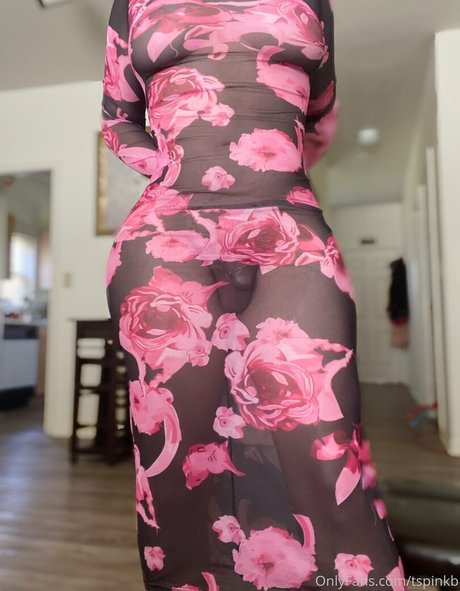 tspinkb pornographic star gallery