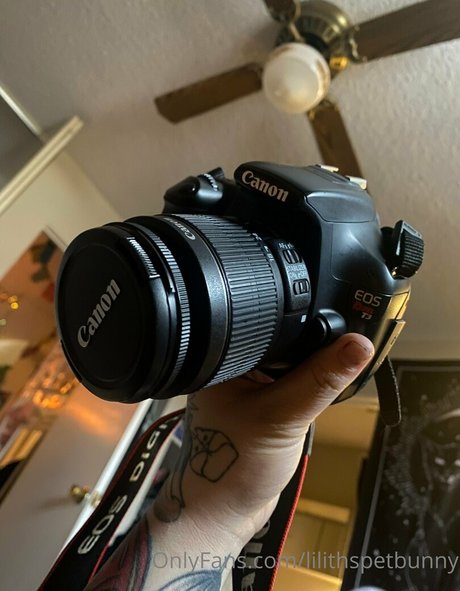 lilithspetbunny star exclusive gallery