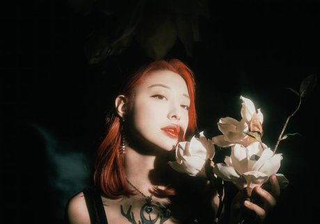 one onlyfans porno galleries