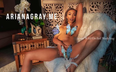 arianagrayfree star pornographic pic