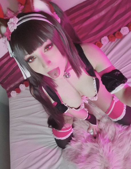 ShiroKitsune exclusive star archive