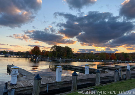 hiblissfularia erotic actress img