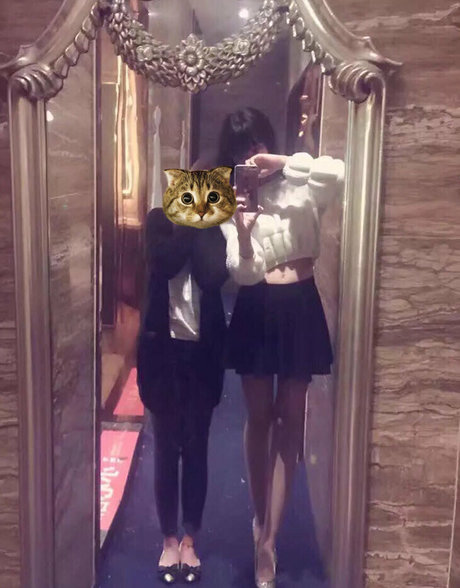 cdxun art star images