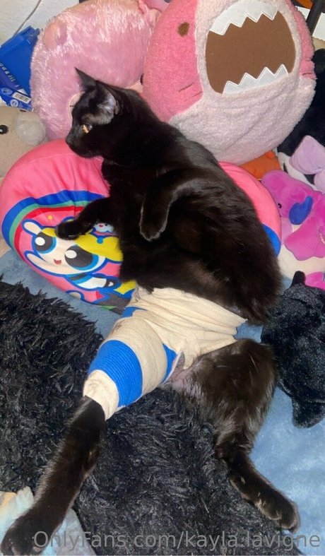 kayla lavigne top model pictures