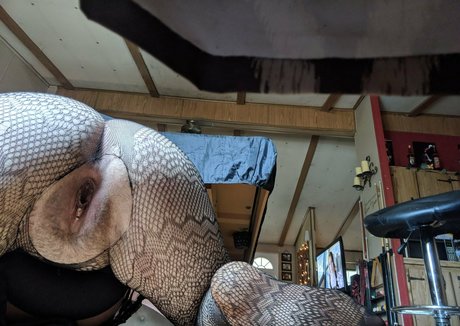 bustyambz hot star galleries