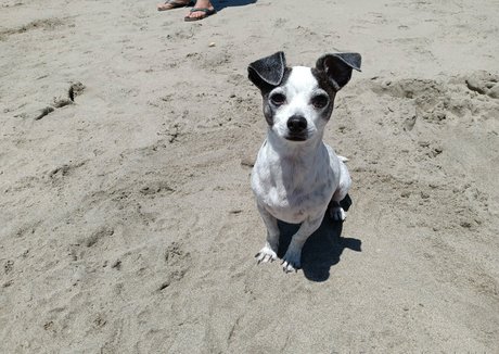 sneakykirby high quality model pic