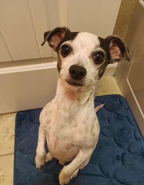 sneakykirby pretty model galleries