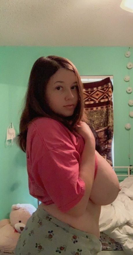 sunflower best model gallery