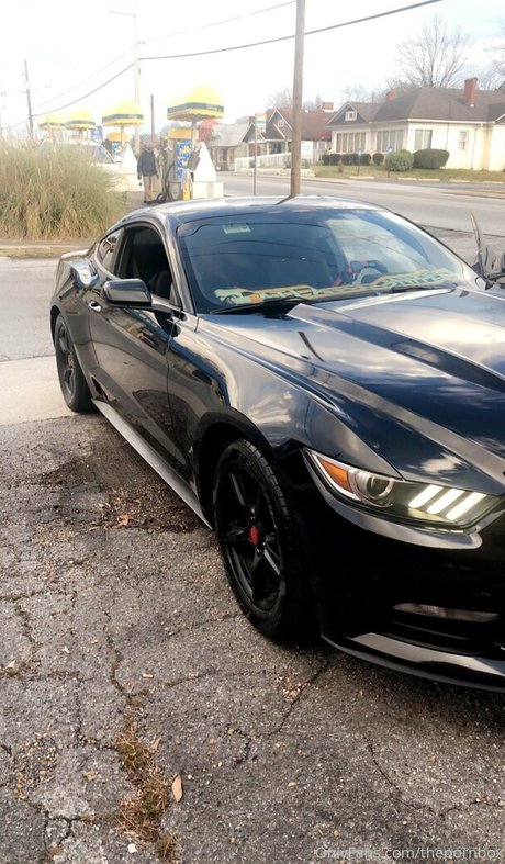 thepornbox star nice photos