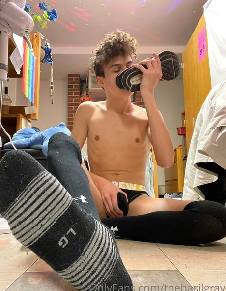 basilgray star images