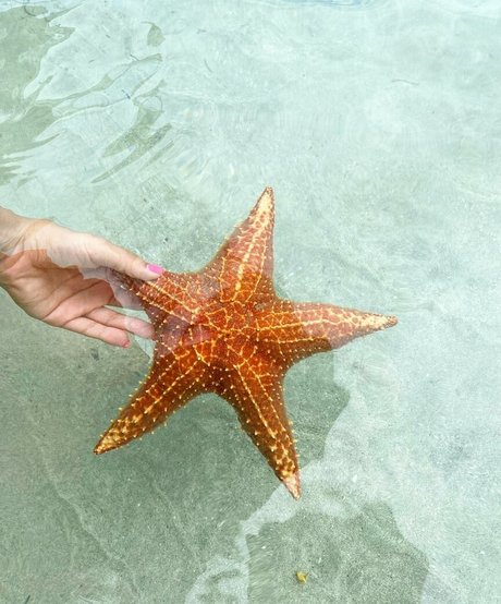 Dana Sartov top actress archive