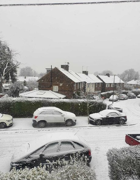 sillytilly model beautiful images