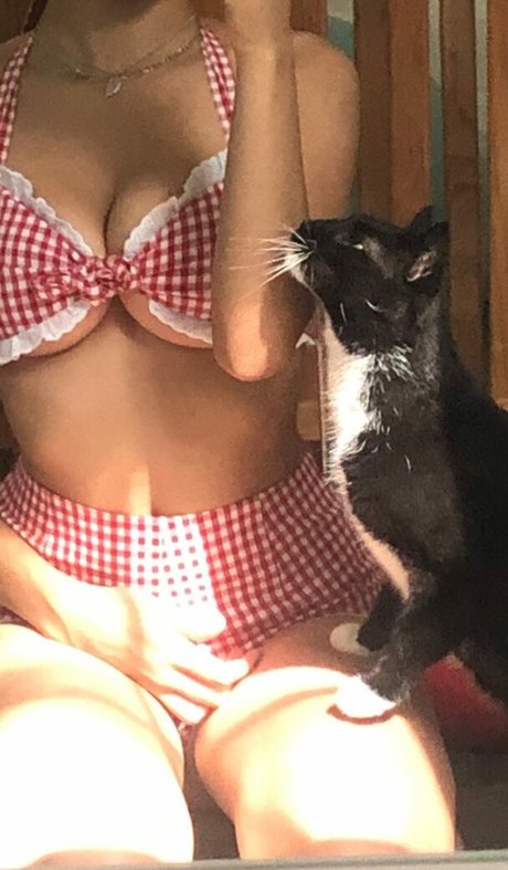 totallylizey nice pornstar picture