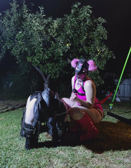lexipuppy hot pornstar archive