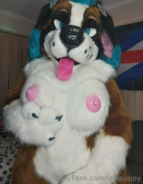 lexipuppy Quick photo