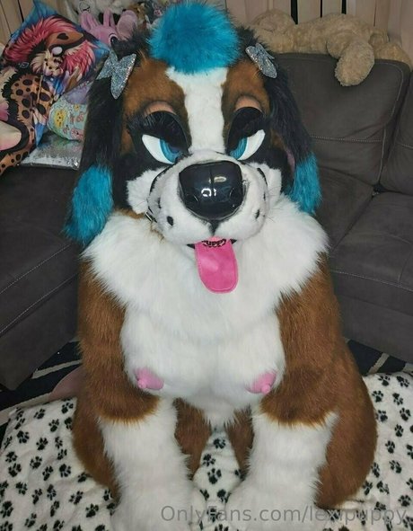 lexipuppy best pornstar pic