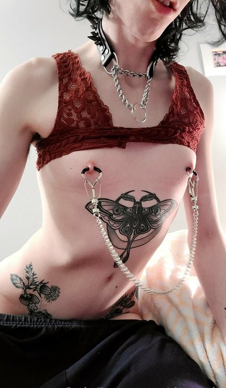 doxxxie free pornstar pictures