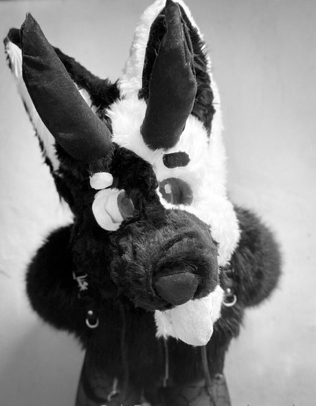 ratedrcosplay top star picture