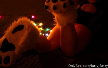 furry foxxy Quick photo