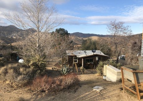 rose la reine Quick photo