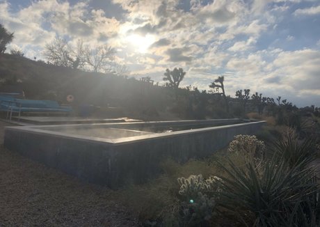 rose la reine star pretty galleries