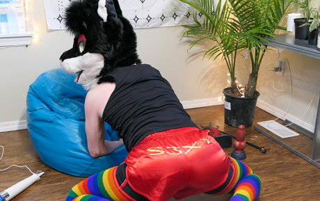 yiffykitty pornstar adult pic