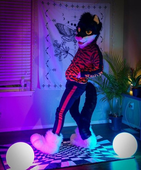 yiffykitty Profile photo