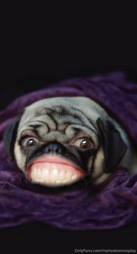 veryyes sex actress photos