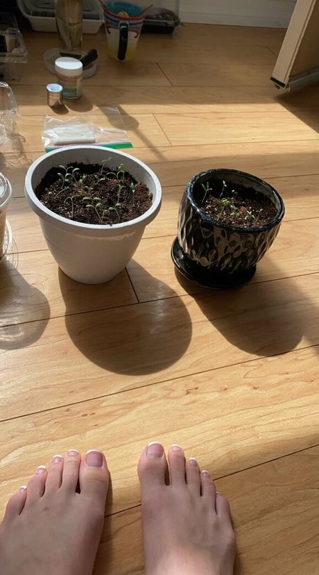 ebony joi onlyfans xxx photo