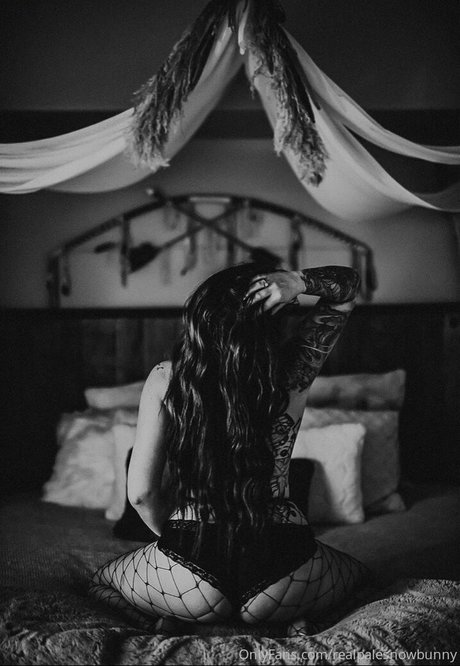 realpalesnowbunny star perfect gallery